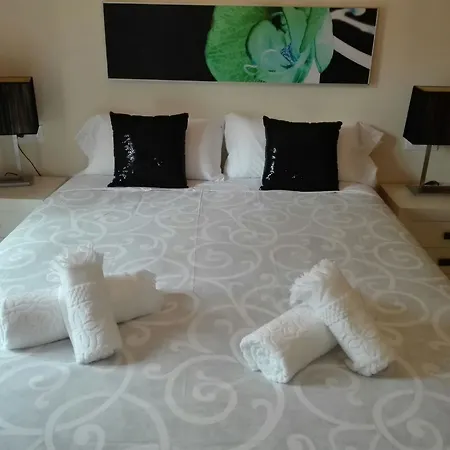 Apartment Alfonso Xii *
